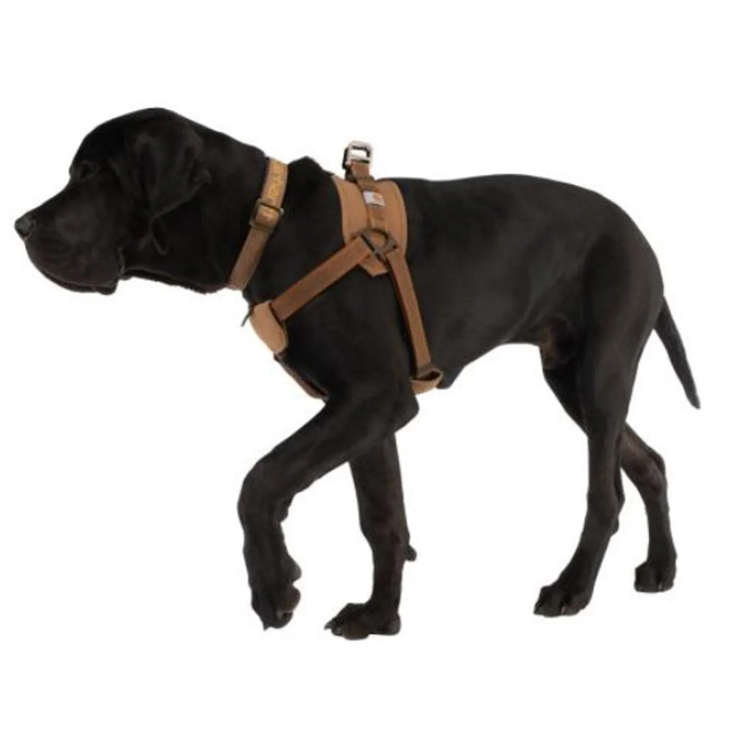 Carhartt Dog Training Harness