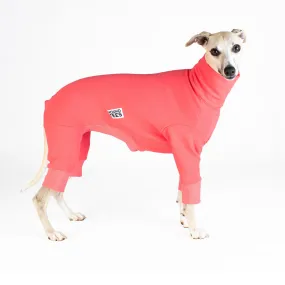 Watermelon Whippet Snoot Suit